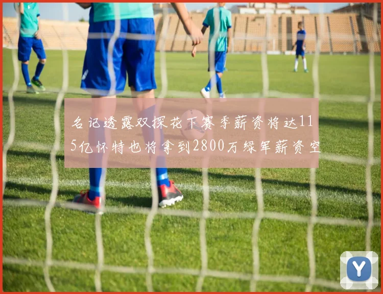名记透露双探花下赛季薪资将达115亿怀特也将拿到2800万绿军薪资空间依旧紧张