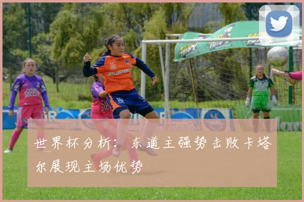 世界杯分析：东道主强势击败卡塔尔展现主场优势